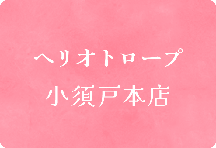 ヘリオトロープ小須戸本店